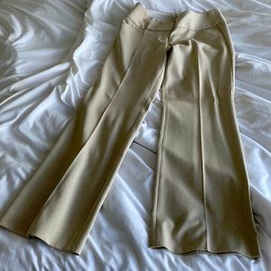 Express Design Studio Editor pants